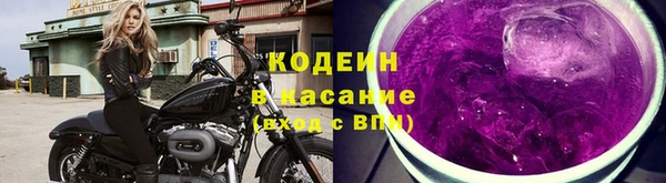 прущие грибы Иннополис