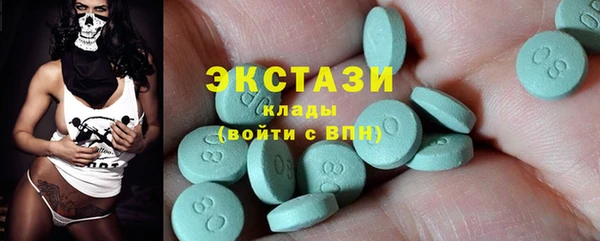 индика Инсар