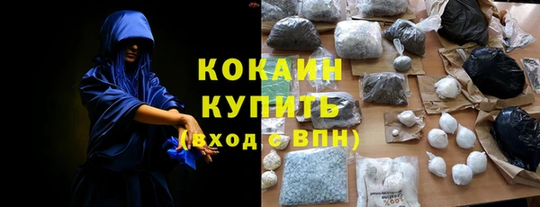 индика Инсар