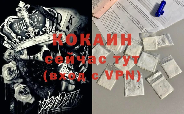 индика Инсар