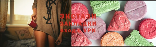 индика Инсар