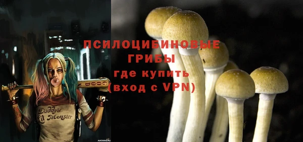 прущие грибы Иннополис
