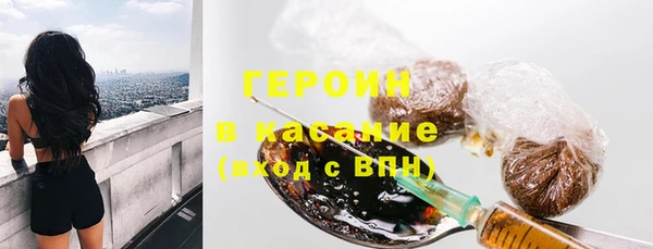 индика Инсар