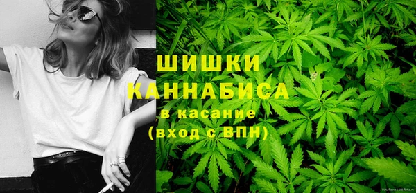 индика Инсар