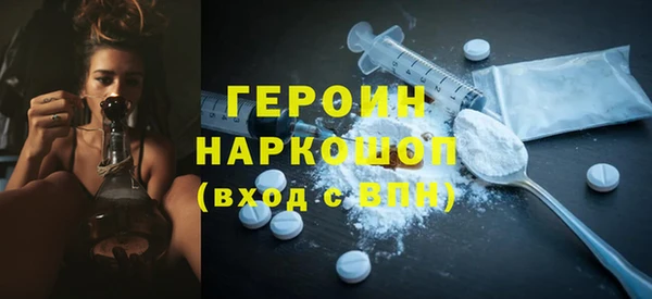 индика Инсар