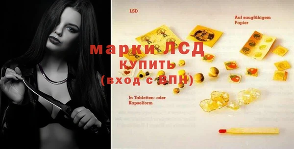 индика Инсар