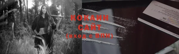 индика Инсар