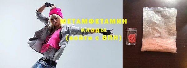 индика Инсар