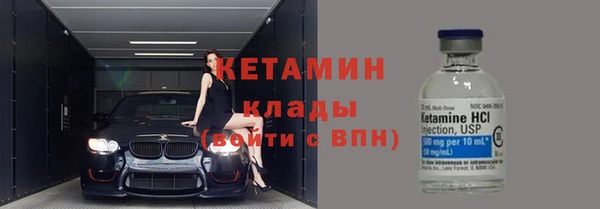 индика Инсар