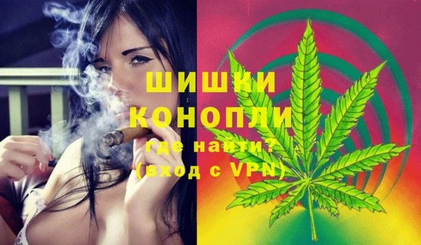 прущие грибы Иннополис
