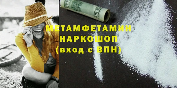 индика Инсар