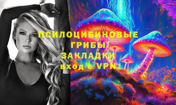 прущие грибы Иннополис