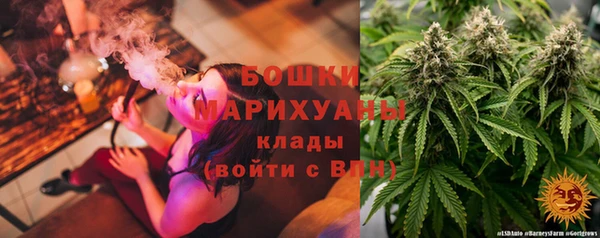 индика Инсар