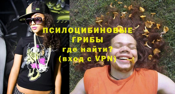 Альфа ПВП Инта