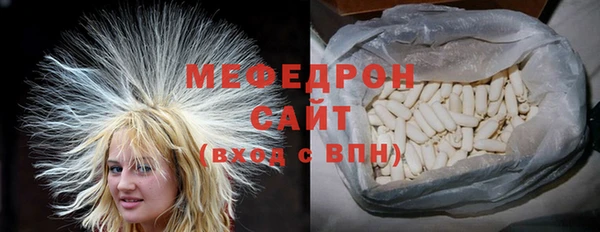 индика Инсар