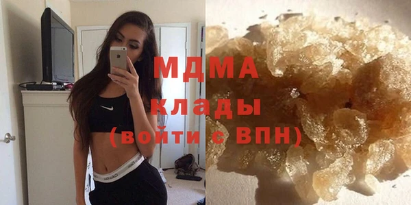 индика Инсар