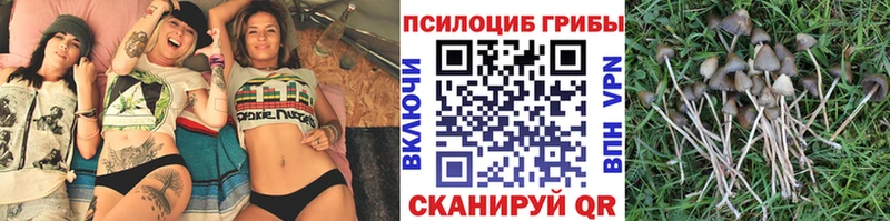 Галлюциногенные грибы мицелий  Купить где  Вилюйск 